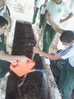 Lombricultura Del Colegio